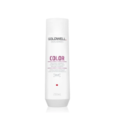 Шампунь Goldwell DSN Color для сохранения цвета тонких волос 250 мл